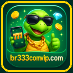 BR333 COM